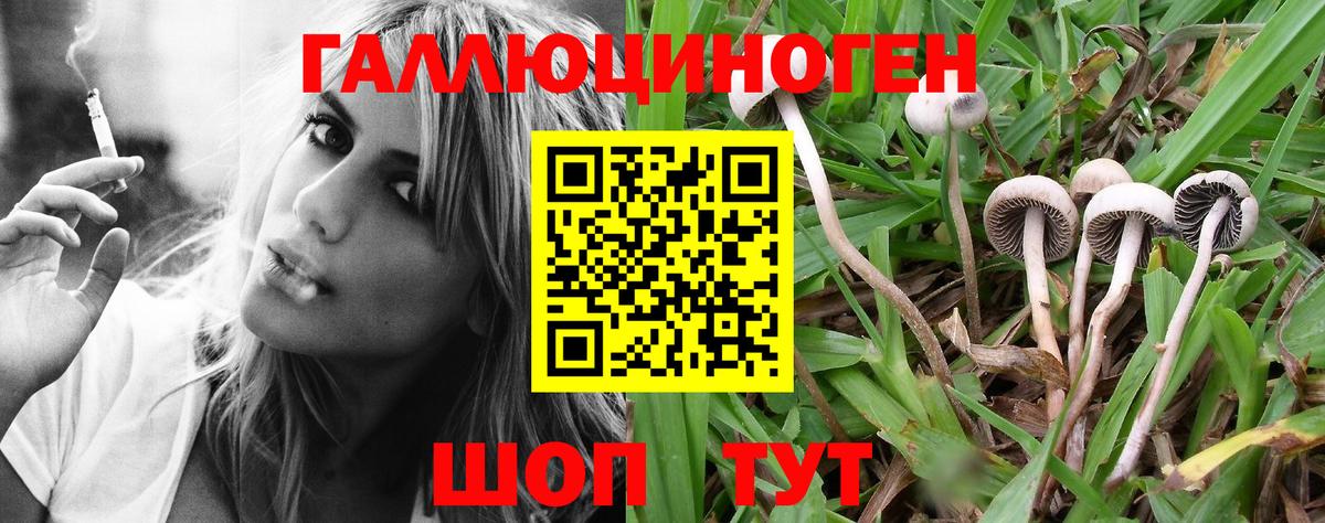 Похвистнево  Галлюциногенные грибы GOLDEN TEACHER  Вход с VPN 